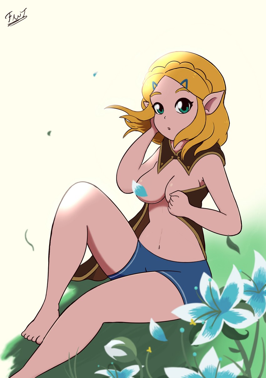 princess zelda (the legend of zelda and 1 more) drawn by fant_da_fanto