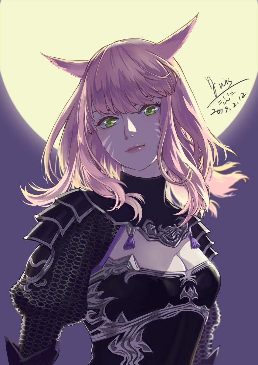 warrior of light (final fantasy and 1 more) drawn by iris@work