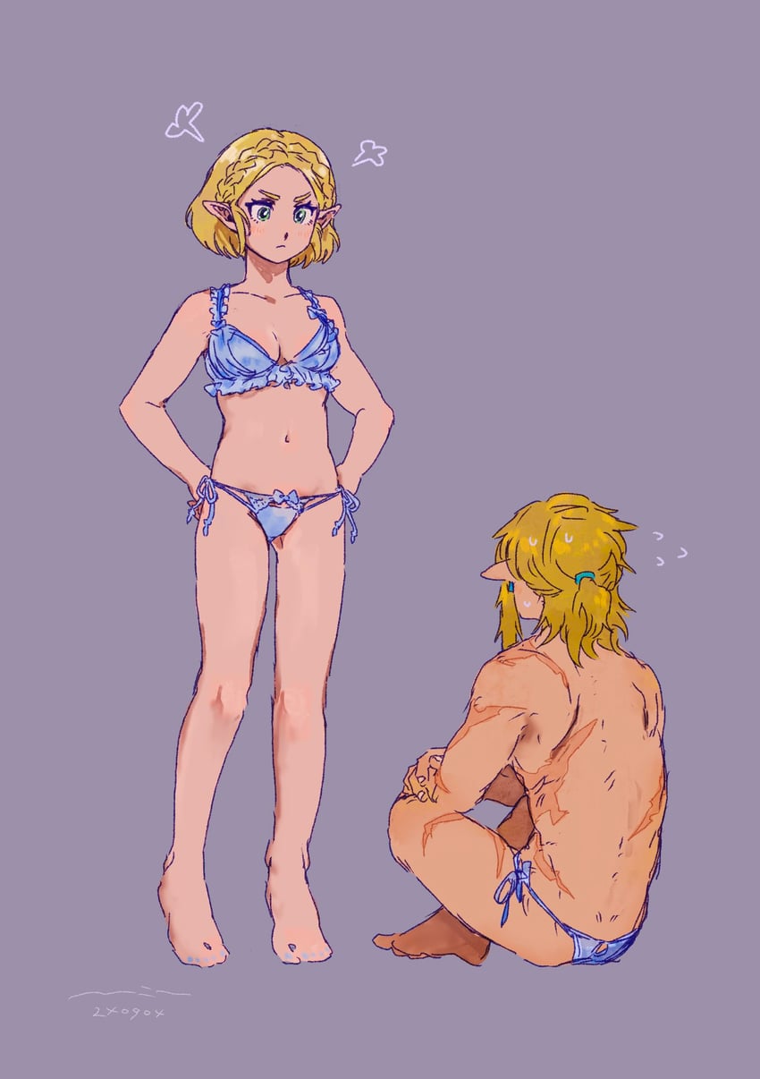 link and princess zelda (the legend of zelda and 1 more) drawn by hiworld33488185