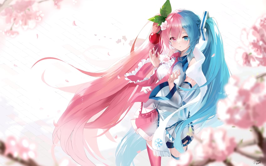 hatsune miku, yuki miku, and sakura miku (vocaloid) drawn by asahi_kuroi