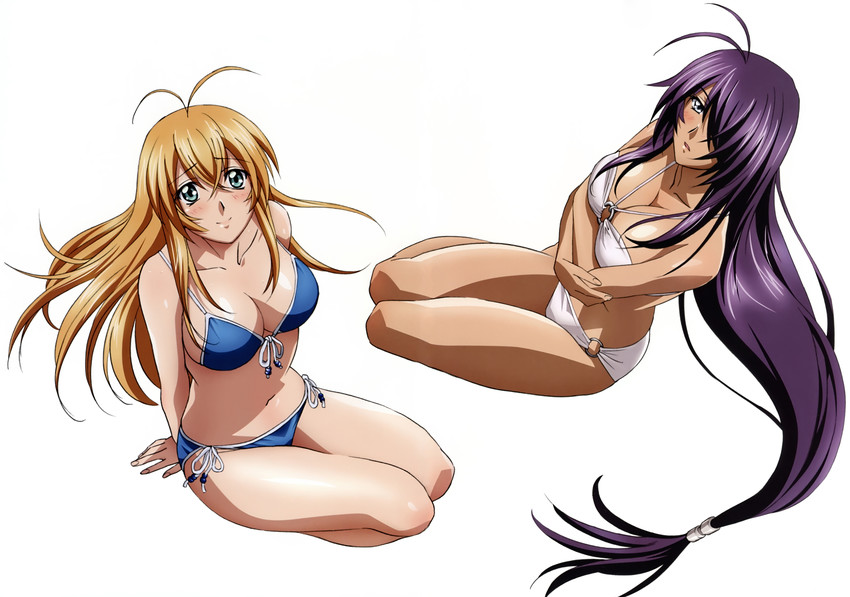 kan'u unchou and sonsaku hakufu (ikkitousen and 1 more)