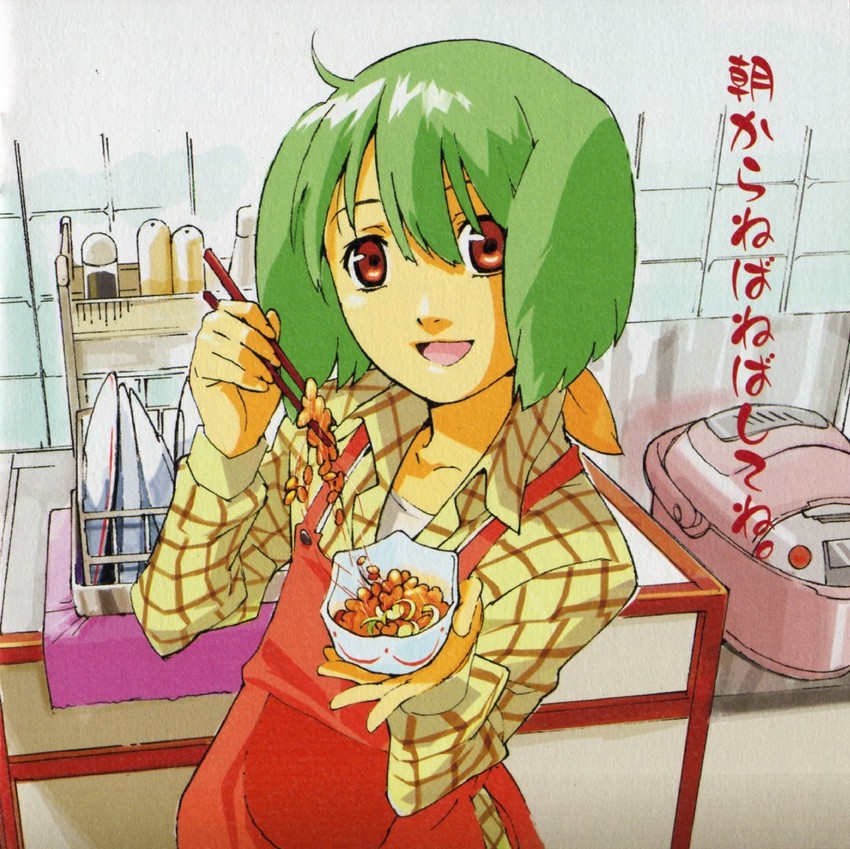 ranka lee (macross and 1 more) drawn by ebata_risa