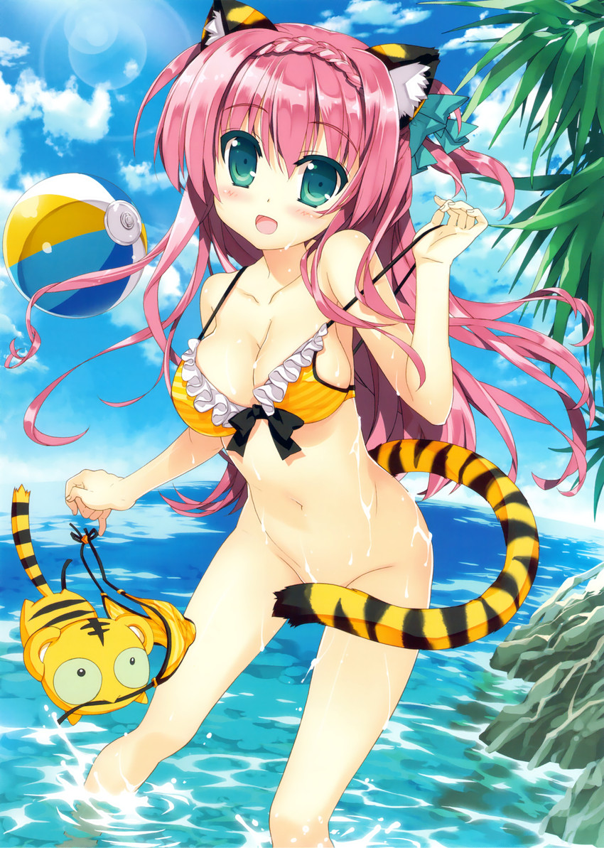 kotora (original and 1 more) drawn by fujima_takuya