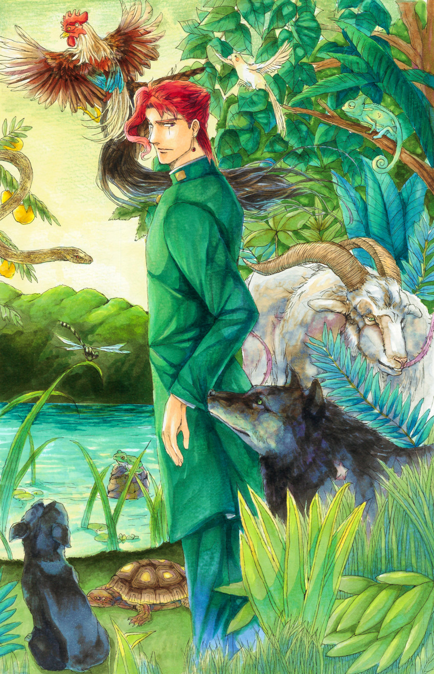 kakyoin noriaki (jojo no kimyou na bouken and 1 more) drawn by yomi_(vernala)