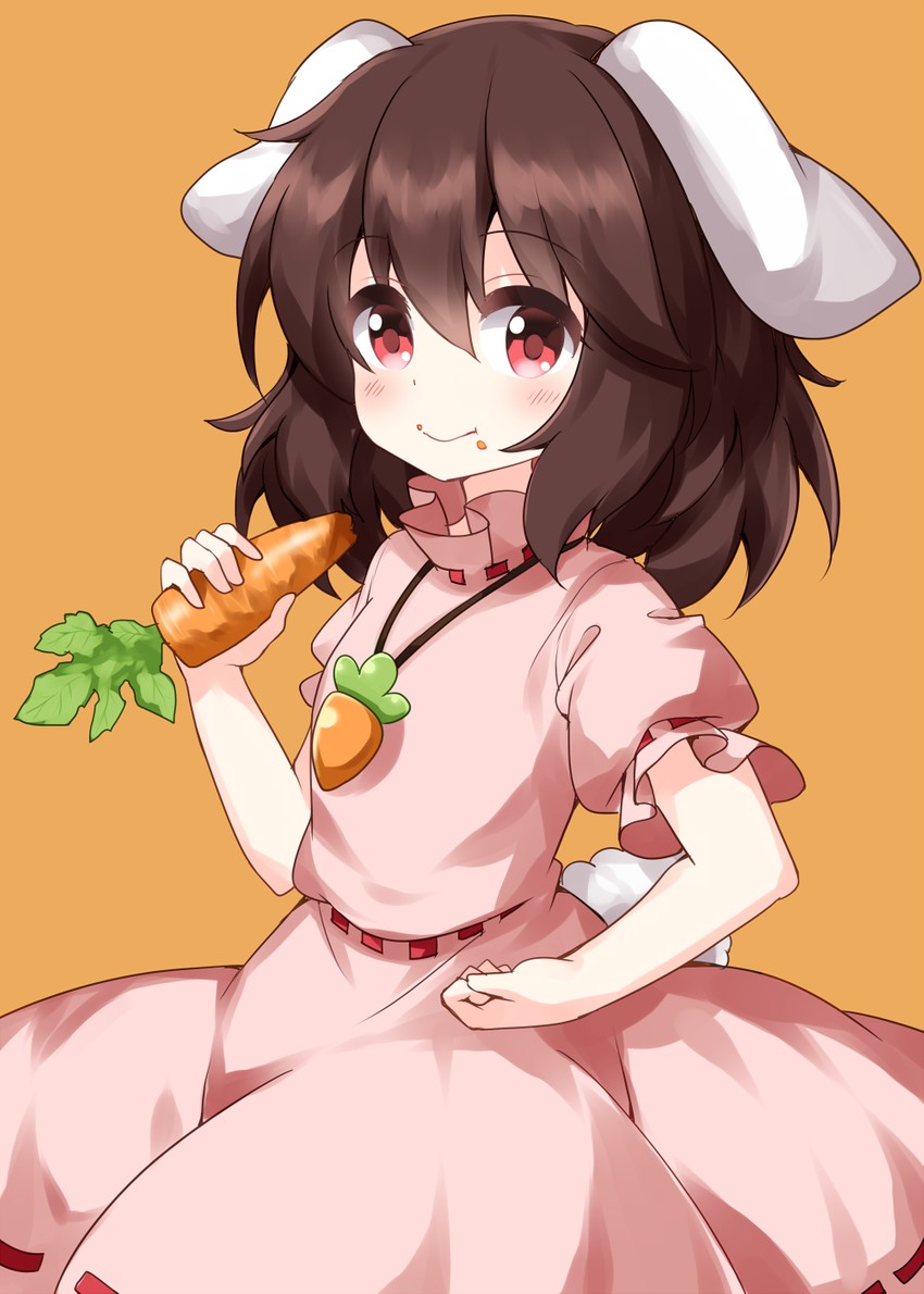 inaba tewi (touhou) drawn by ruu_(tksymkw)