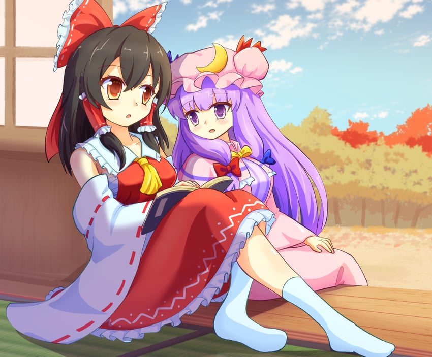 hakurei reimu and patchouli knowledge (touhou) drawn by yoruniwa