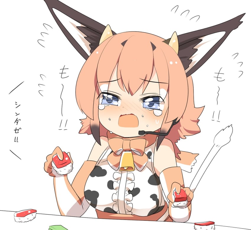 caracal (kemono friends and 1 more) drawn by lets0020