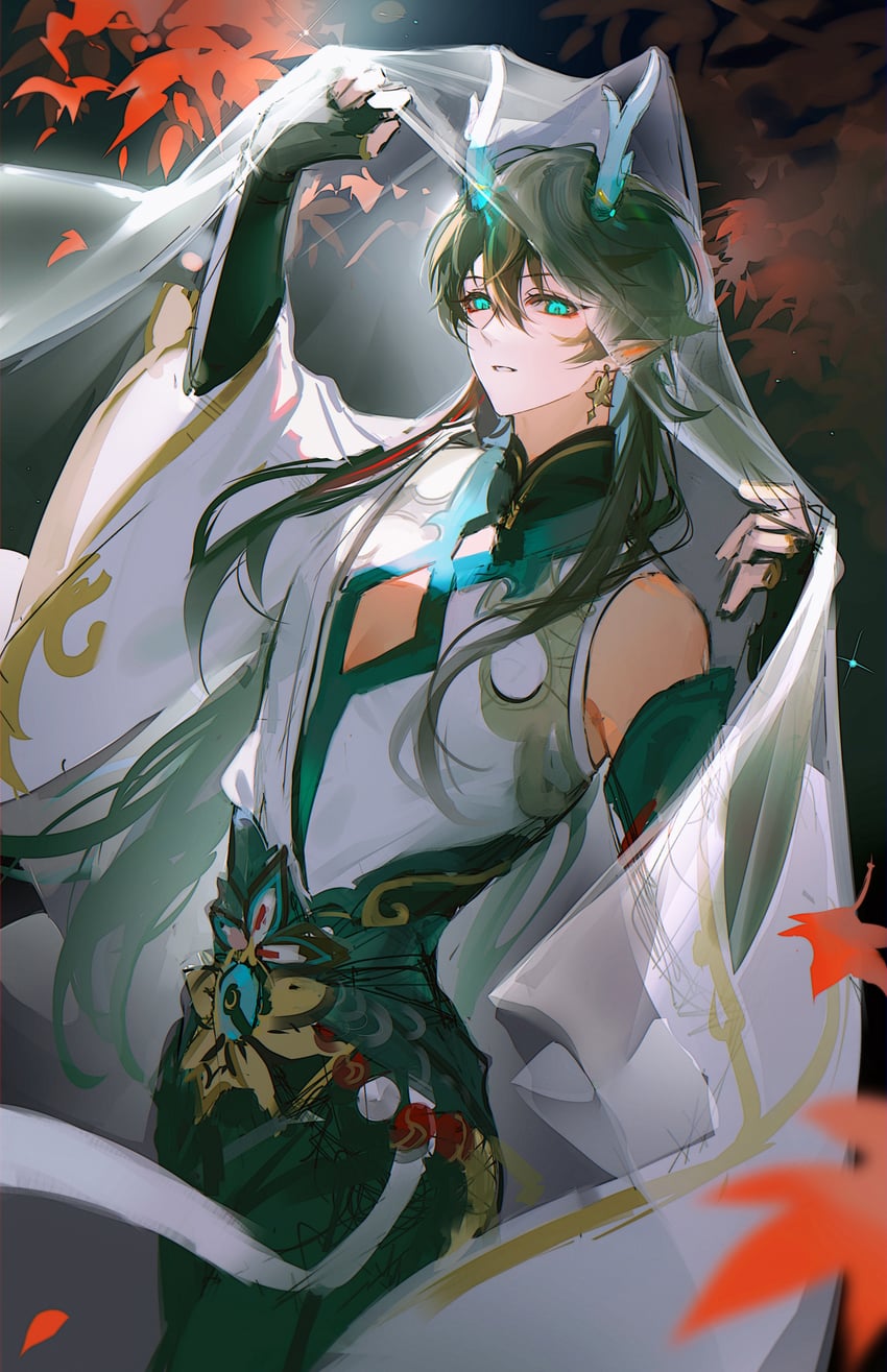 dan heng (honkai and 1 more) drawn by haisaijun
