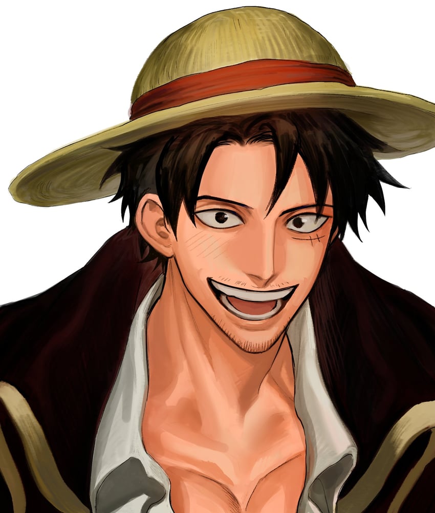 monkey d. luffy (one piece) drawn by nok_(nok_1)