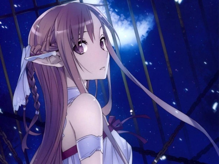 asuna and titania (sword art online) drawn by bu_ding