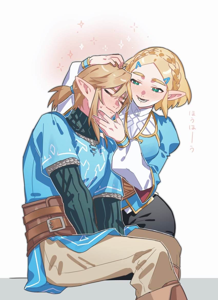 link and princess zelda (the legend of zelda and 1 more) drawn by oshinomiya