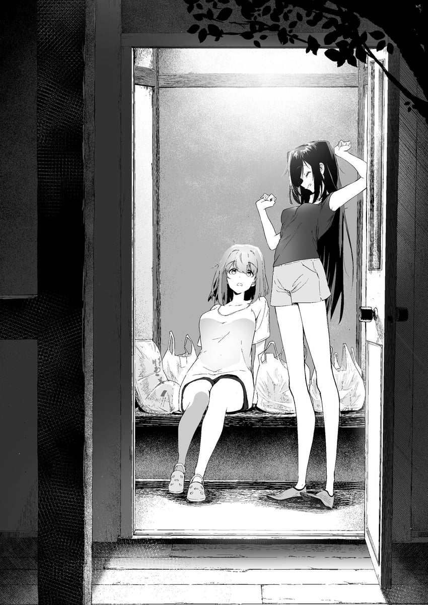 megumi hinoto and nishimiya haru (kimi to shiranai natsu ni naru) drawn by keyyan