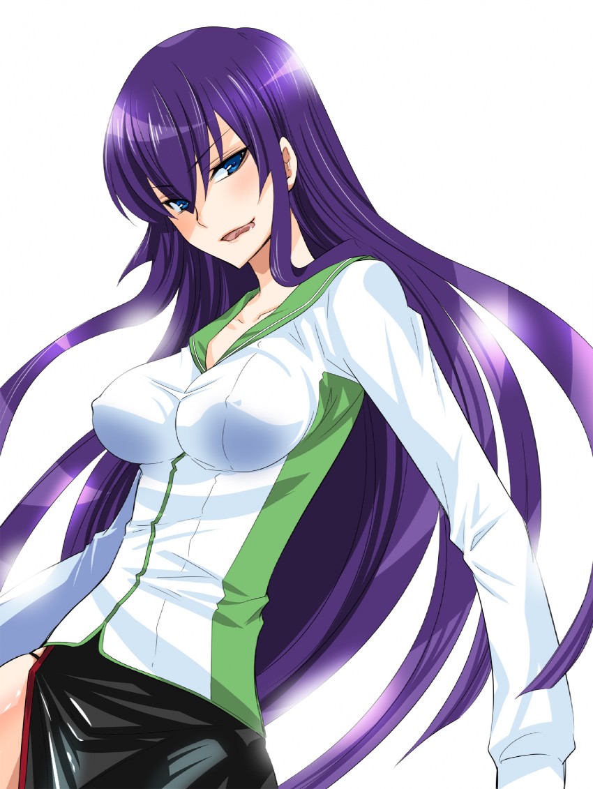 busujima saeko (highschool of the dead) drawn by uonuma_yuu