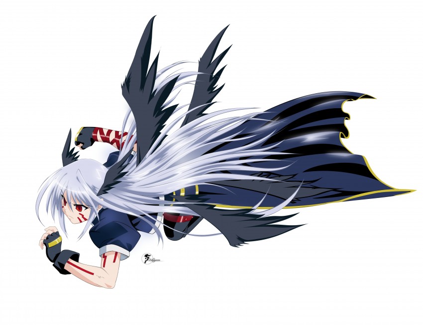 reinforce (lyrical nanoha and 2 more) drawn by solwyvern