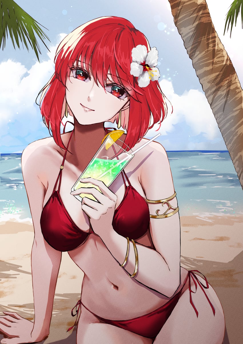 minerva (fire emblem and 1 more) drawn by yori_ilrosso