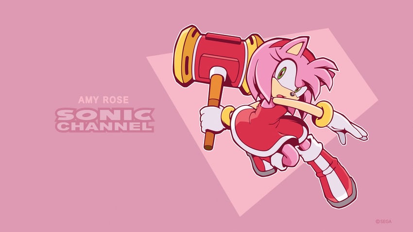 amy rose (sonic and 1 more) drawn by hayane_tomoko