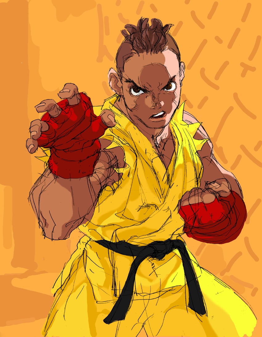 sean matsuda (street fighter and 1 more) drawn by nishimura_kinu