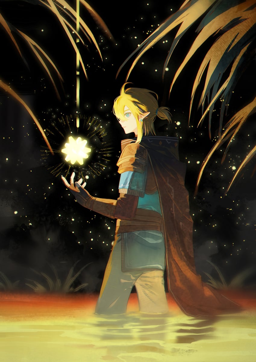 link (the legend of zelda and 1 more) drawn by sheshenqiuyi