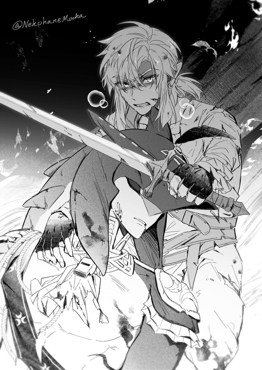 link and sidon (the legend of zelda and 1 more) drawn by nekohanemocha