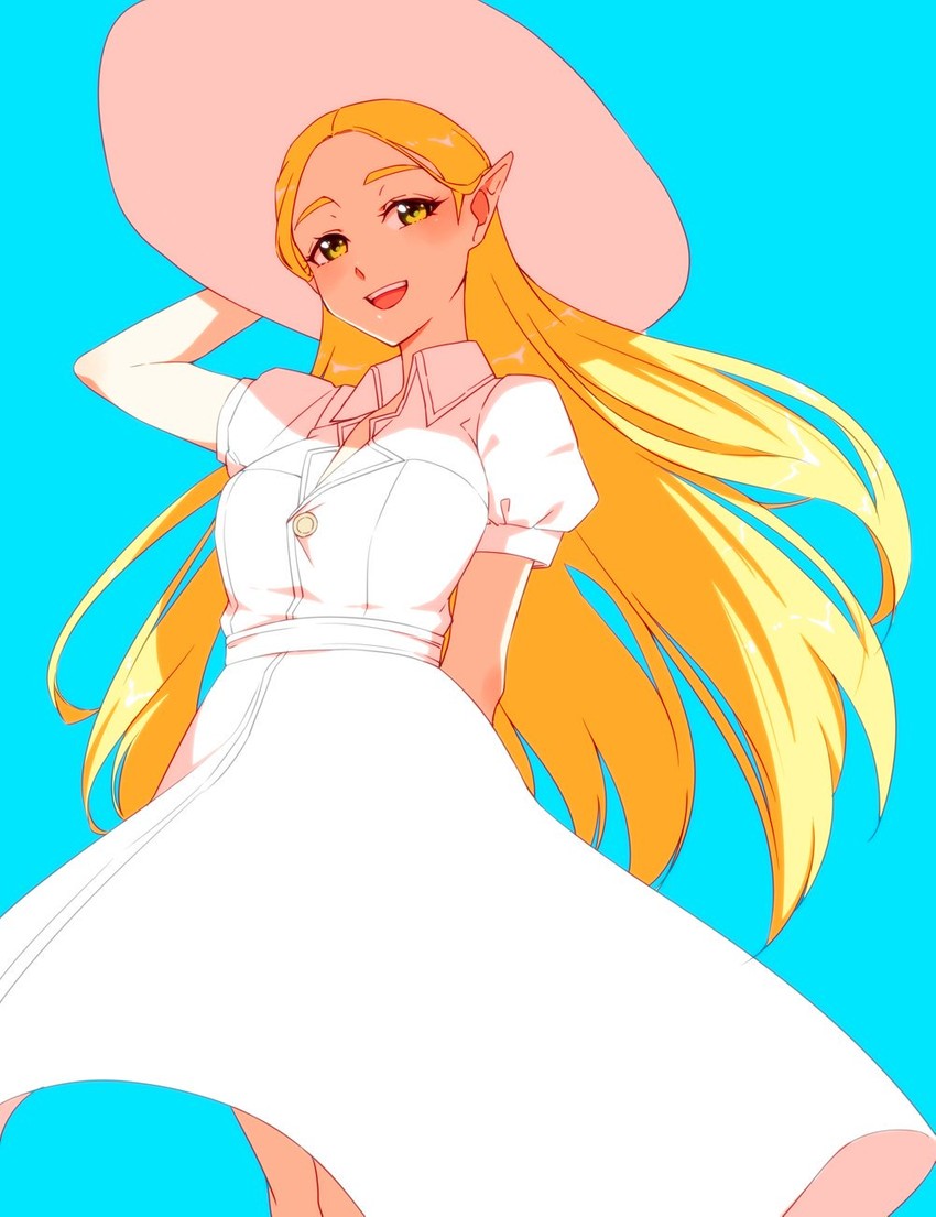 princess zelda (the legend of zelda and 1 more) drawn by saiba_(henrietta)