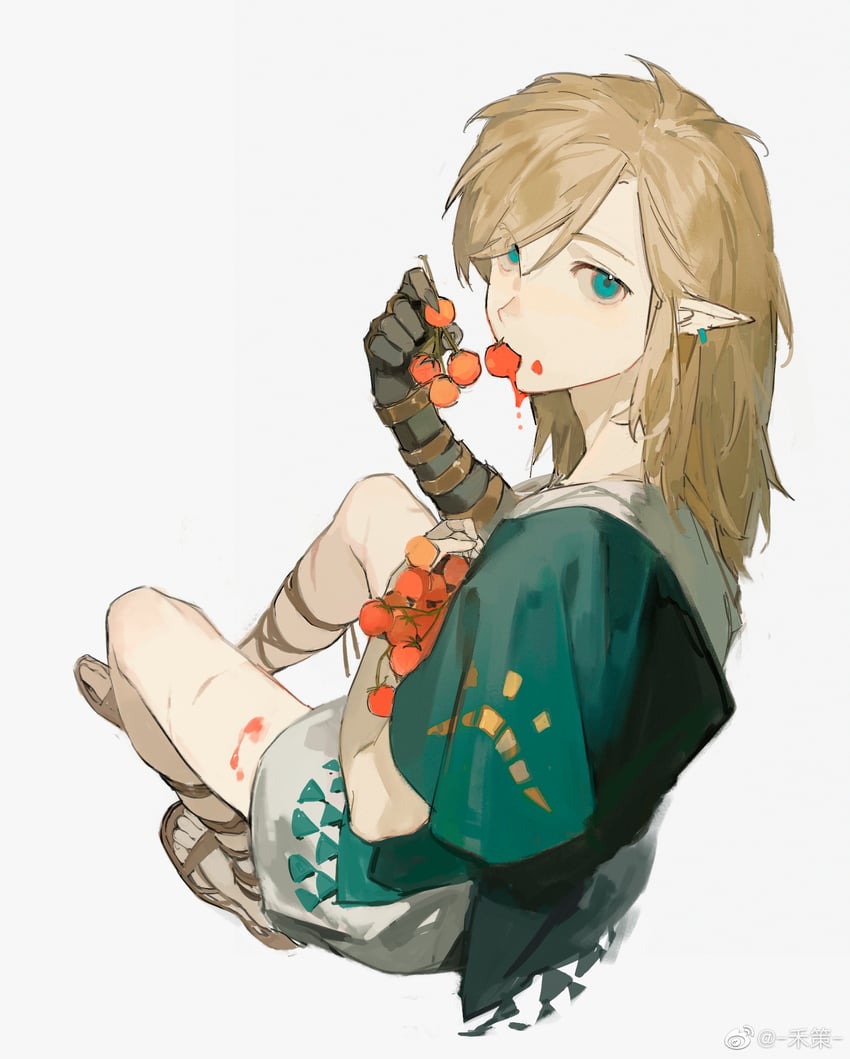 link (the legend of zelda and 1 more) drawn by noland