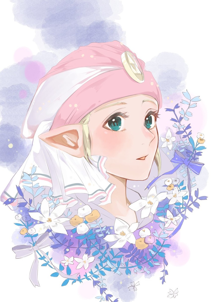 princess zelda and young zelda (the legend of zelda and 1 more)