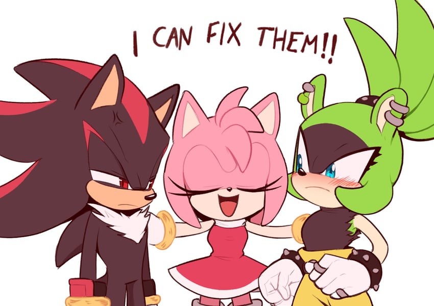 shadow the hedgehog, amy rose, and surge the tenrec (sonic and 1 more) drawn by toonsite