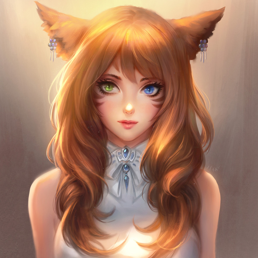 warrior of light (final fantasy and 1 more) drawn by chaosringen
