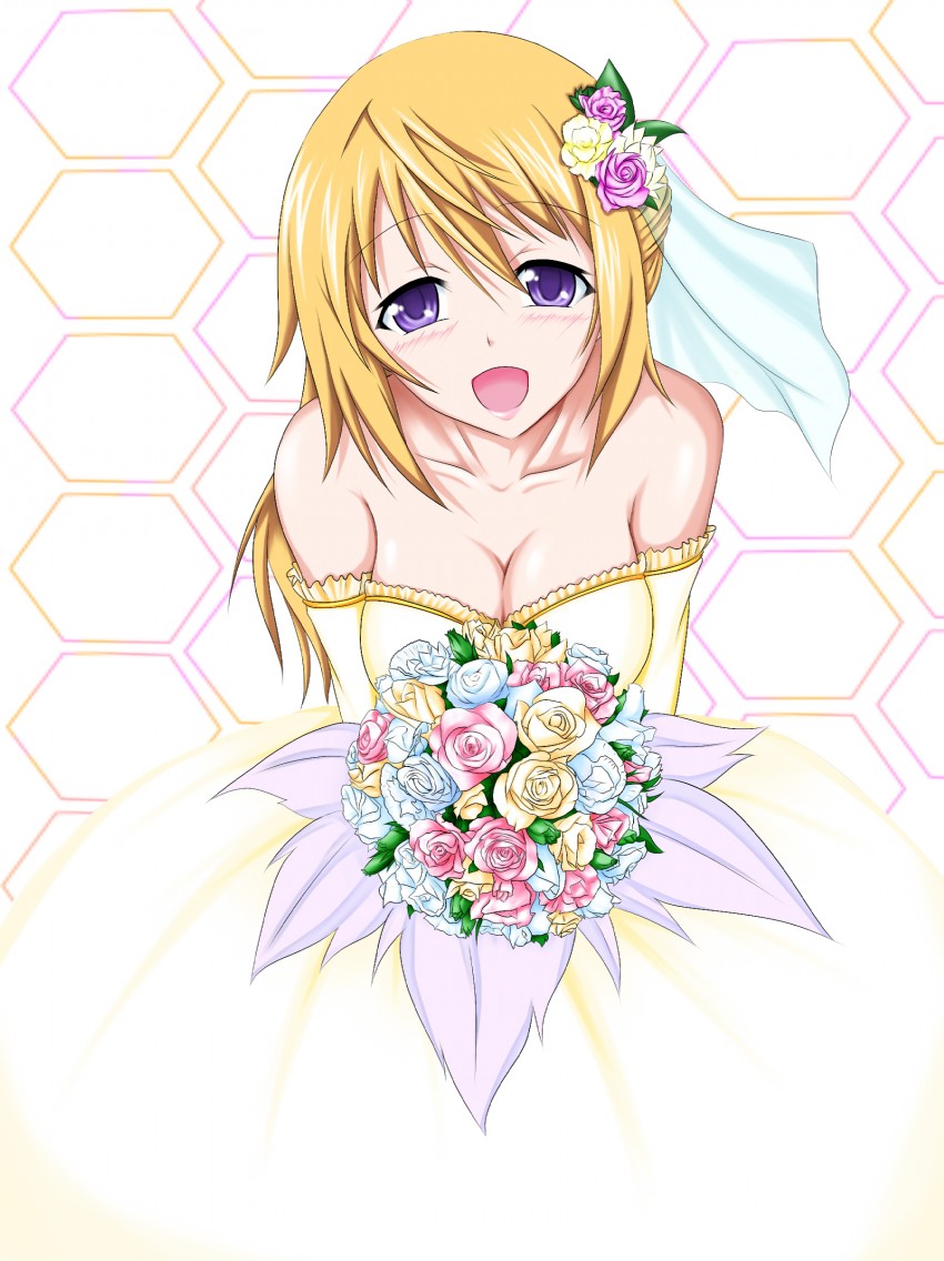 charlotte dunois (infinite stratos) drawn by tukiumisheriru