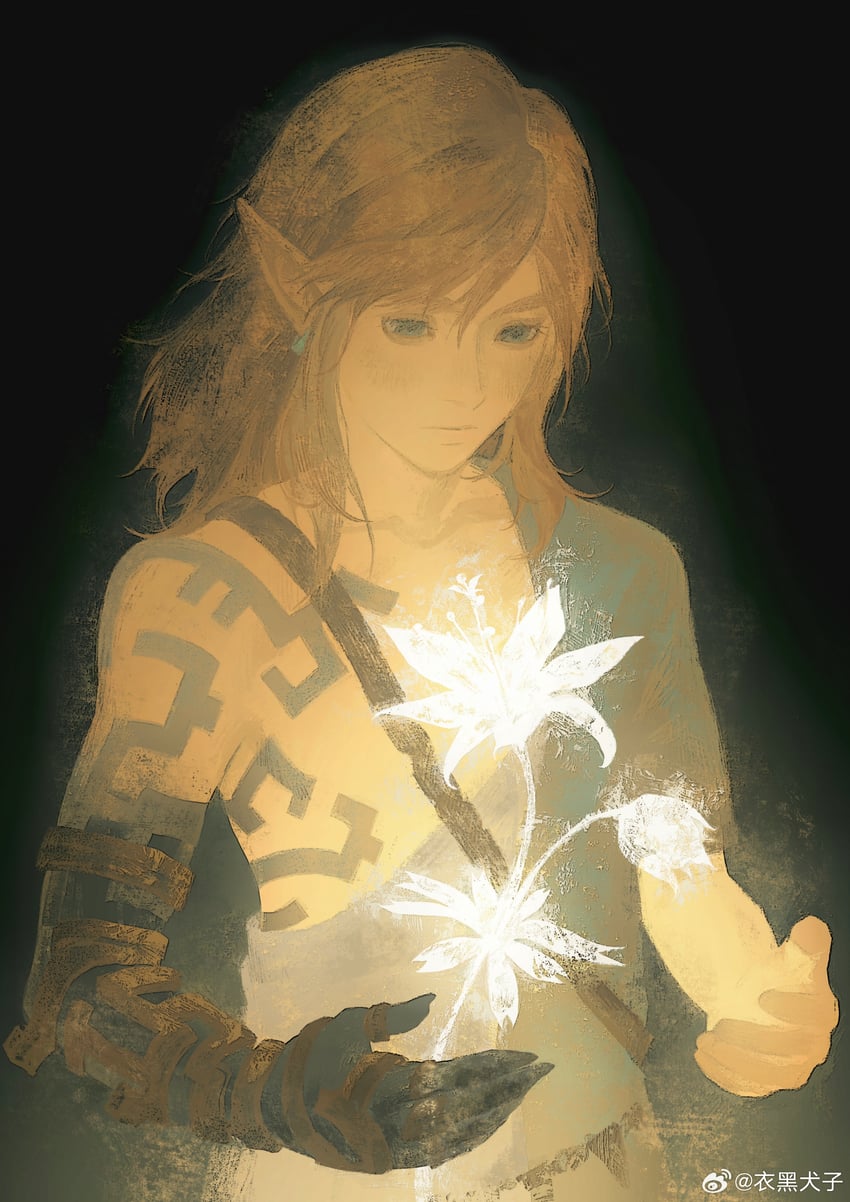 link (the legend of zelda and 1 more) drawn by weibo_3937522456