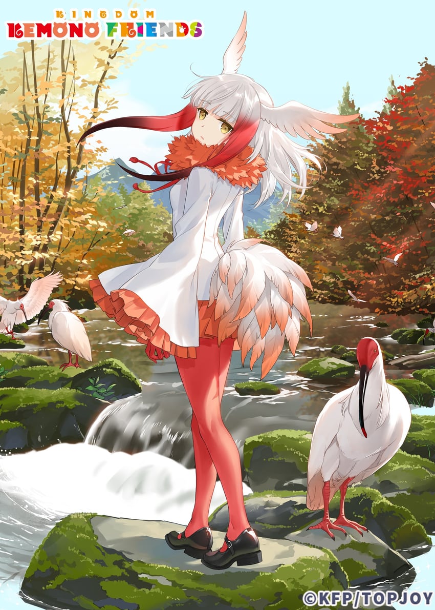 japanese crested ibis (kemono friends and 1 more)