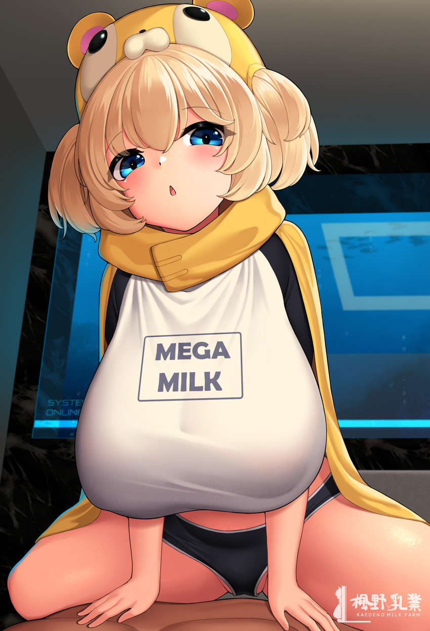 ella of the sky (last origin) drawn by kaedeno_yuu