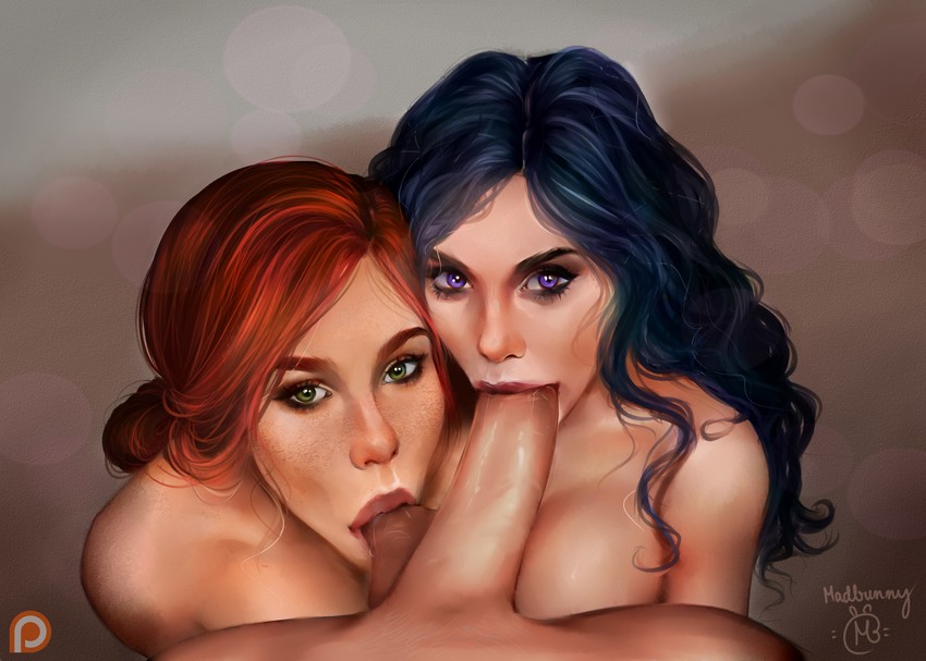geralt of rivia, yennefer of vengerberg, and triss merigold (the witcher and 1 more) drawn by madbunny