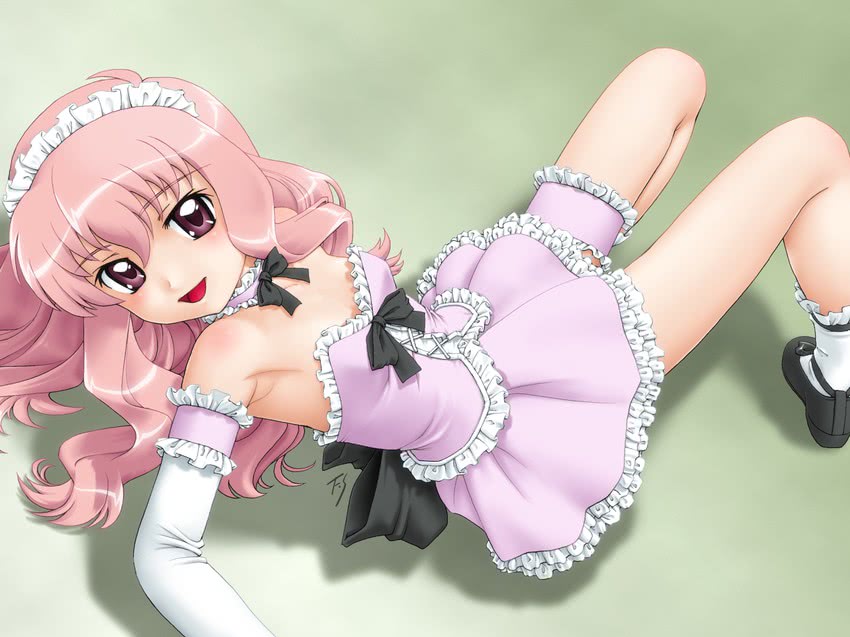 louise francoise le blanc de la valliere (zero no tsukaima) drawn by fuji_shinobu