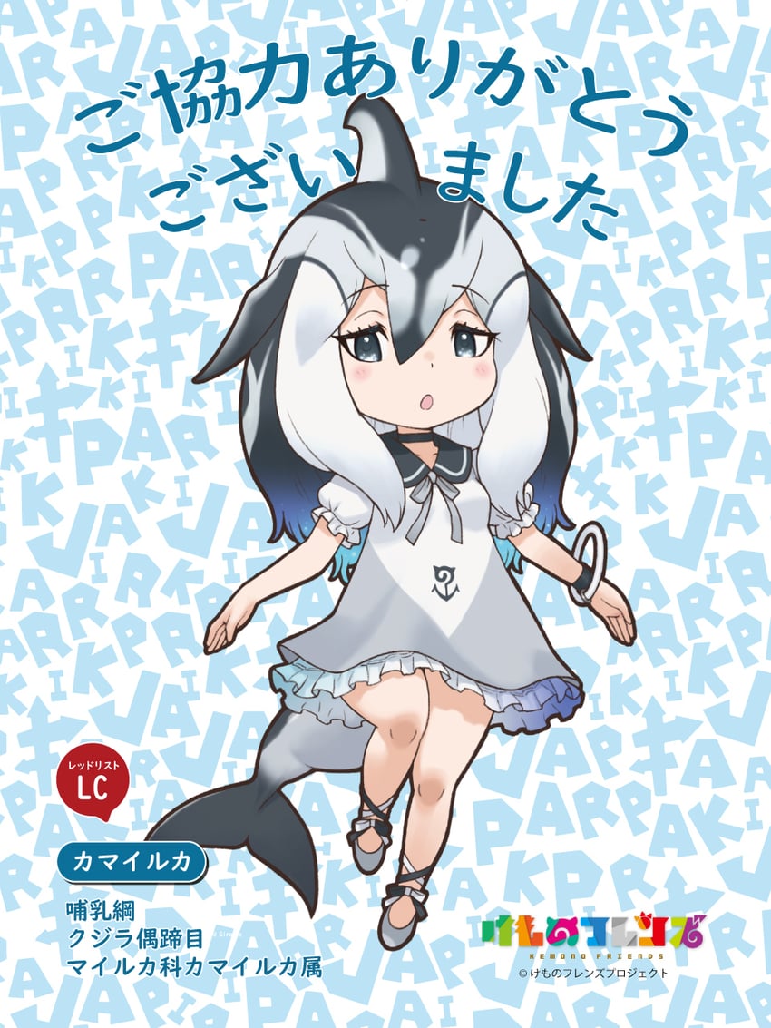 pacific white-sided dolphin (kemono friends) drawn by yoshizaki_mine