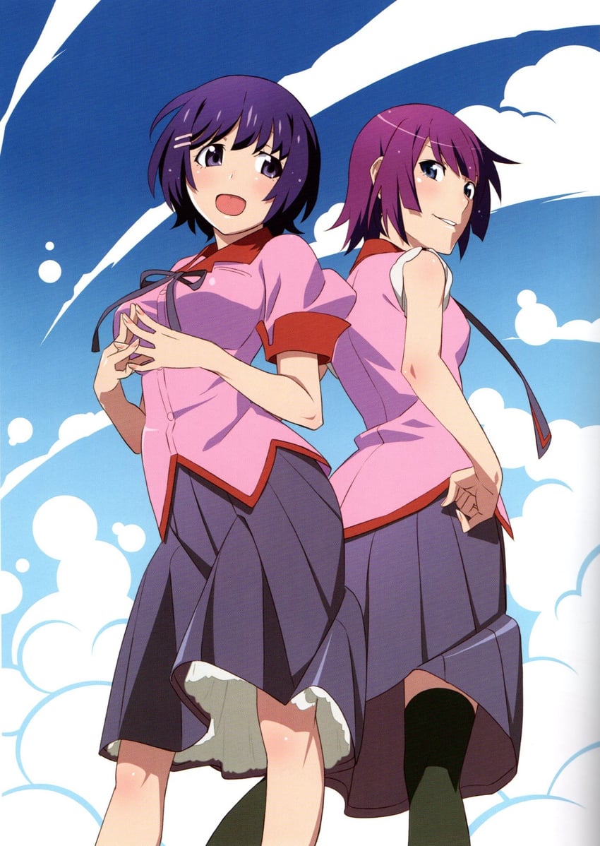 senjougahara hitagi and hanekawa tsubasa (monogatari and 1 more)