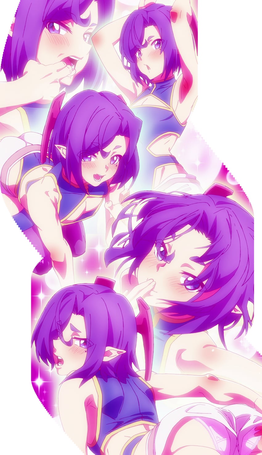 ranga (meikyuu black company)