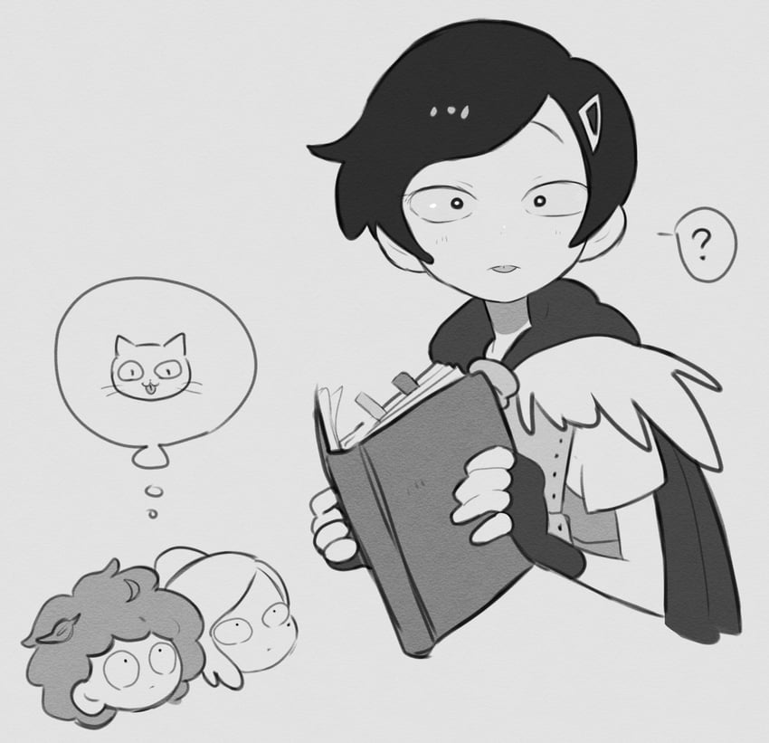 sasha waybright, anne boonchuy, and marcy wu (amphibia) drawn by samui522