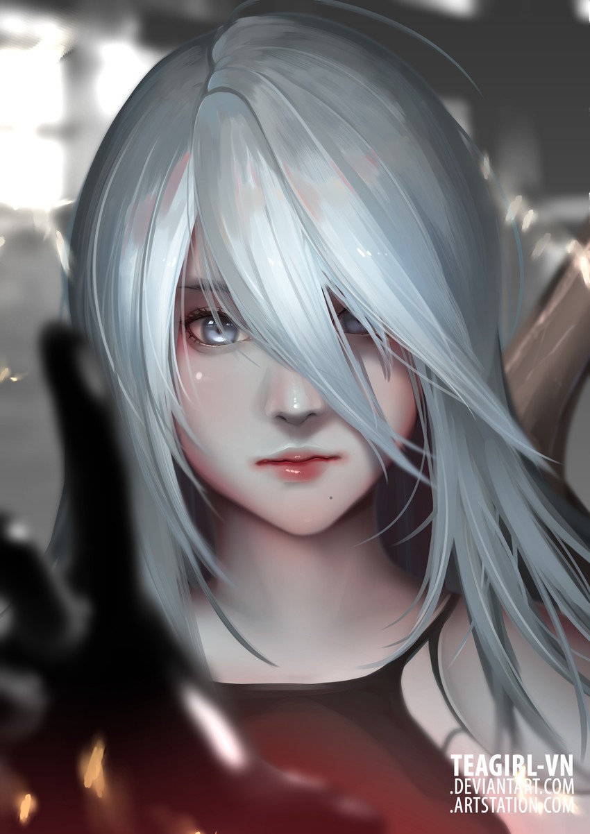 a2 (nier and 1 more) drawn by teagirl-vn