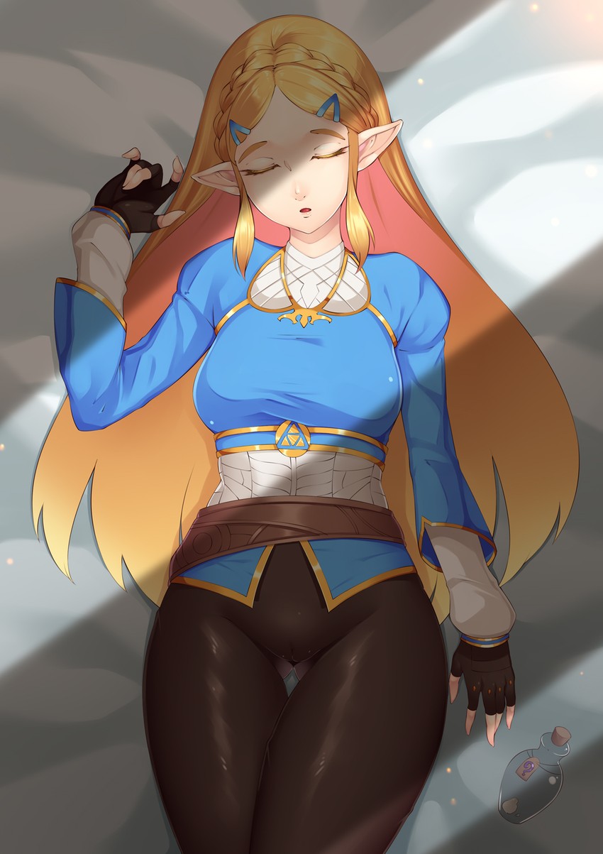 princess zelda (the legend of zelda and 1 more) drawn by bluespice