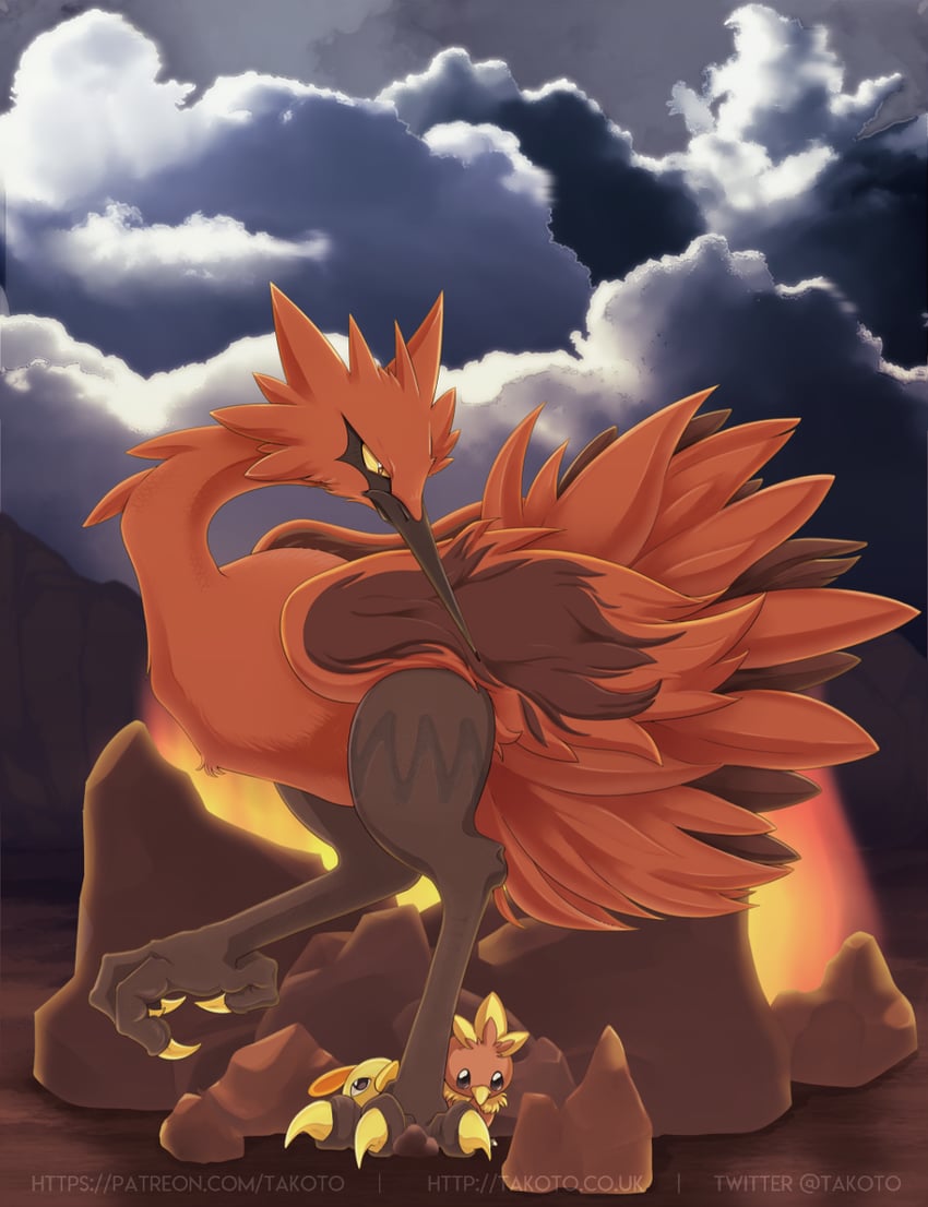 torchic, natu, and galarian zapdos (pokemon) drawn by takoto