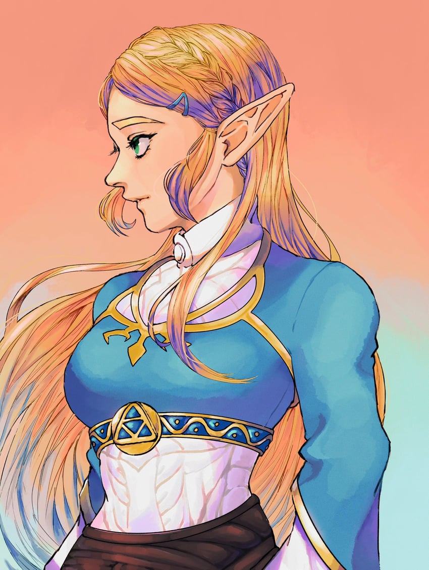 princess zelda (the legend of zelda and 1 more) drawn by solua_mnju