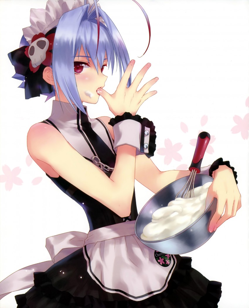yuki (otoko no ko wa meido fuku ga osuki!?) drawn by kasukabe_akira