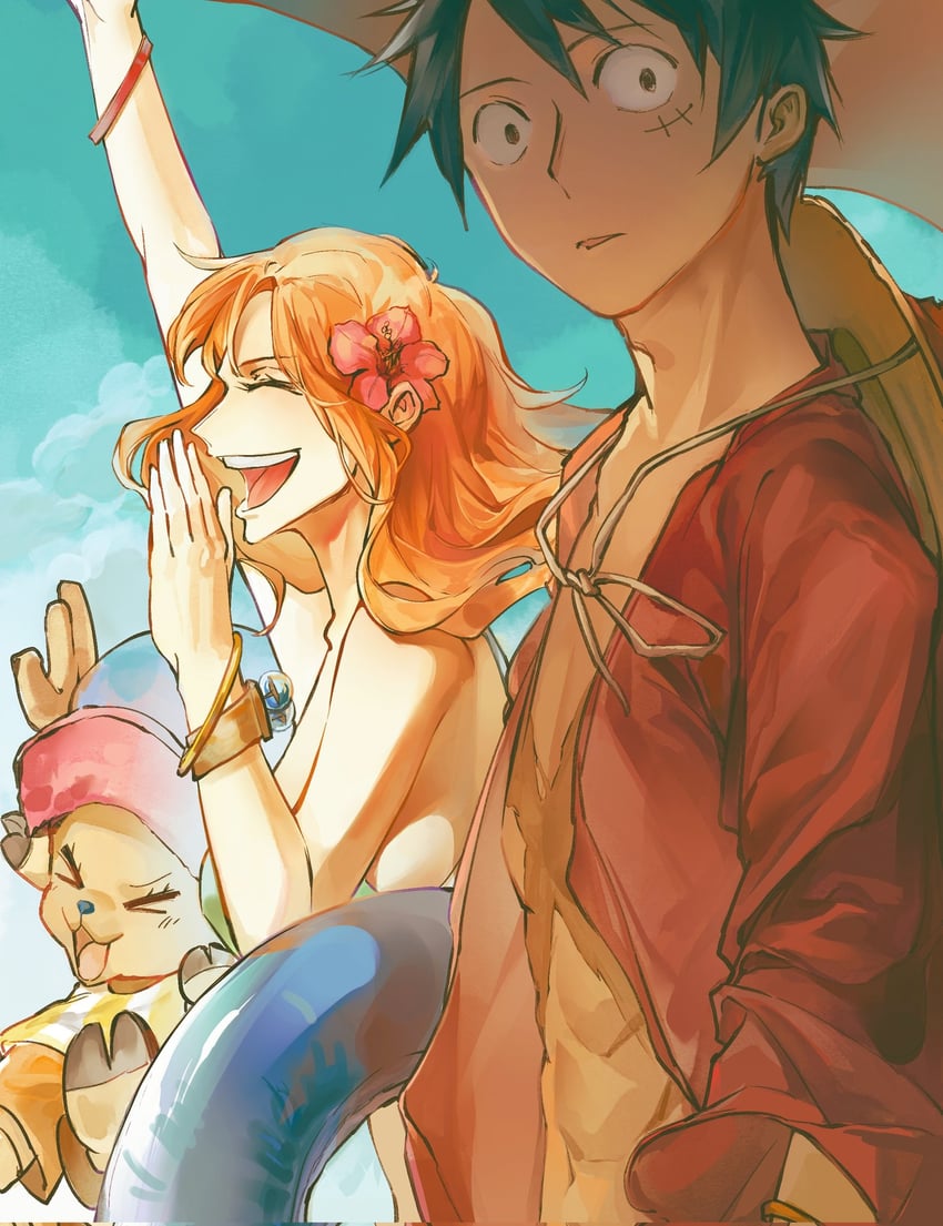 nami, monkey d. luffy, and tony tony chopper (one piece) drawn by lidocaine0