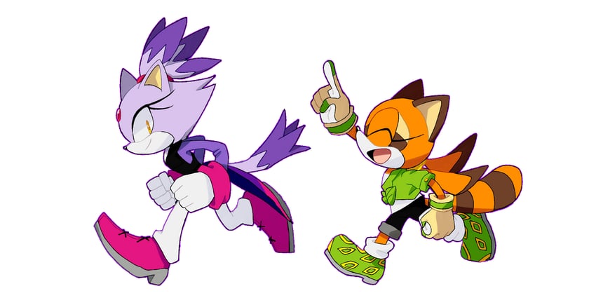 blaze the cat and marine the raccoon (sonic and 1 more) drawn by thedarkshadow1990