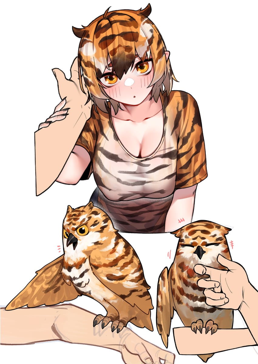 original drawn by sangobob
