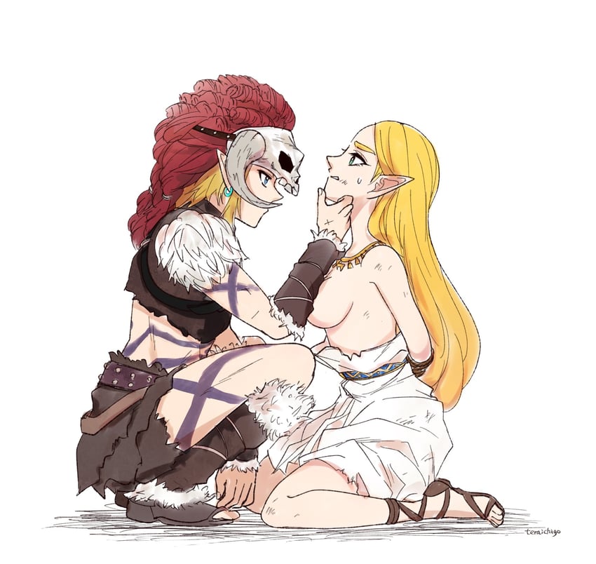 link and princess zelda (the legend of zelda and 1 more) drawn by teraichigo