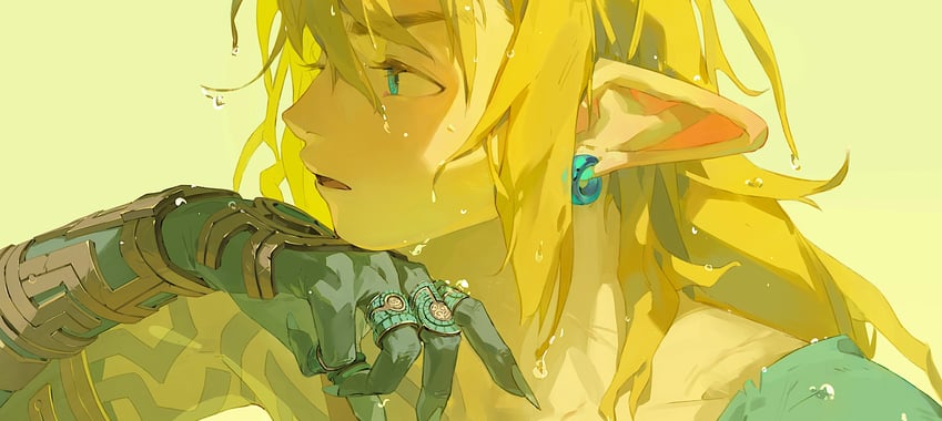 link (the legend of zelda and 1 more) drawn by beishan_qi