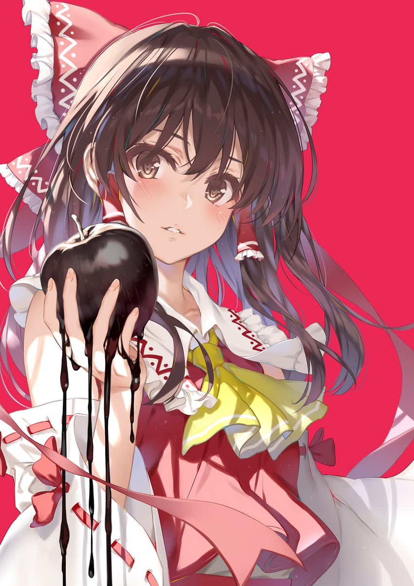 hakurei reimu (touhou and 1 more) drawn by cradle_(circle) and misaki_kurehito