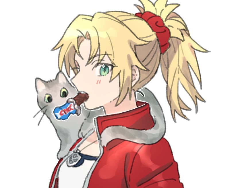 mordred (fate and 1 more) drawn by chickenuma_0